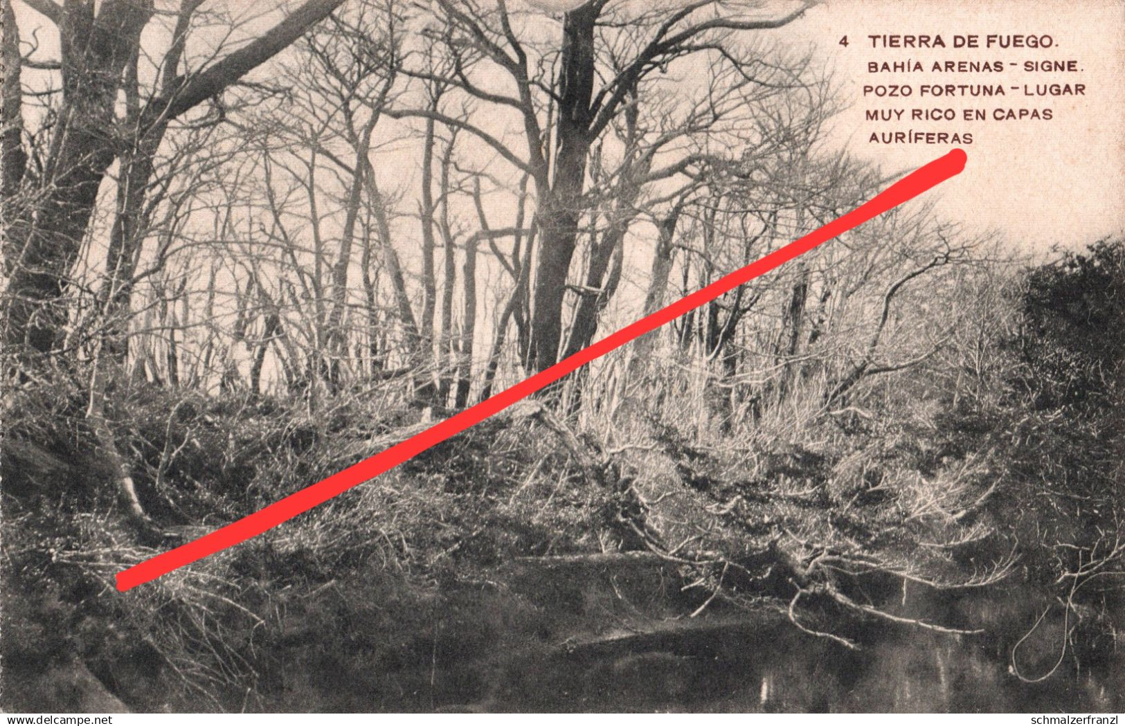 AK Tierra del Fuego Bahia Arenas Signe Pozo Fortuna Land of Fire Feuerland Magallanes Magellanica Argentina Chile