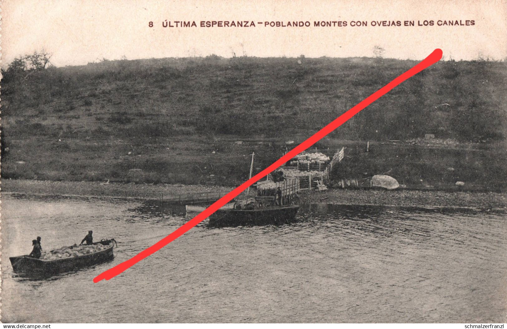 AK Tierra del Fuego Poblando Montes Con Ovejas en los Canales Land of Fire Feuerland Magallanes Magellanica Argentina