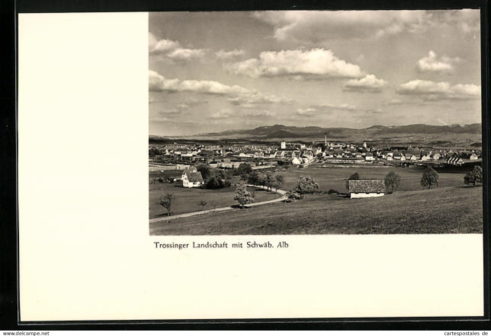 AK Trossingen, Trossinger Landschaft mit Schwäb. Alb