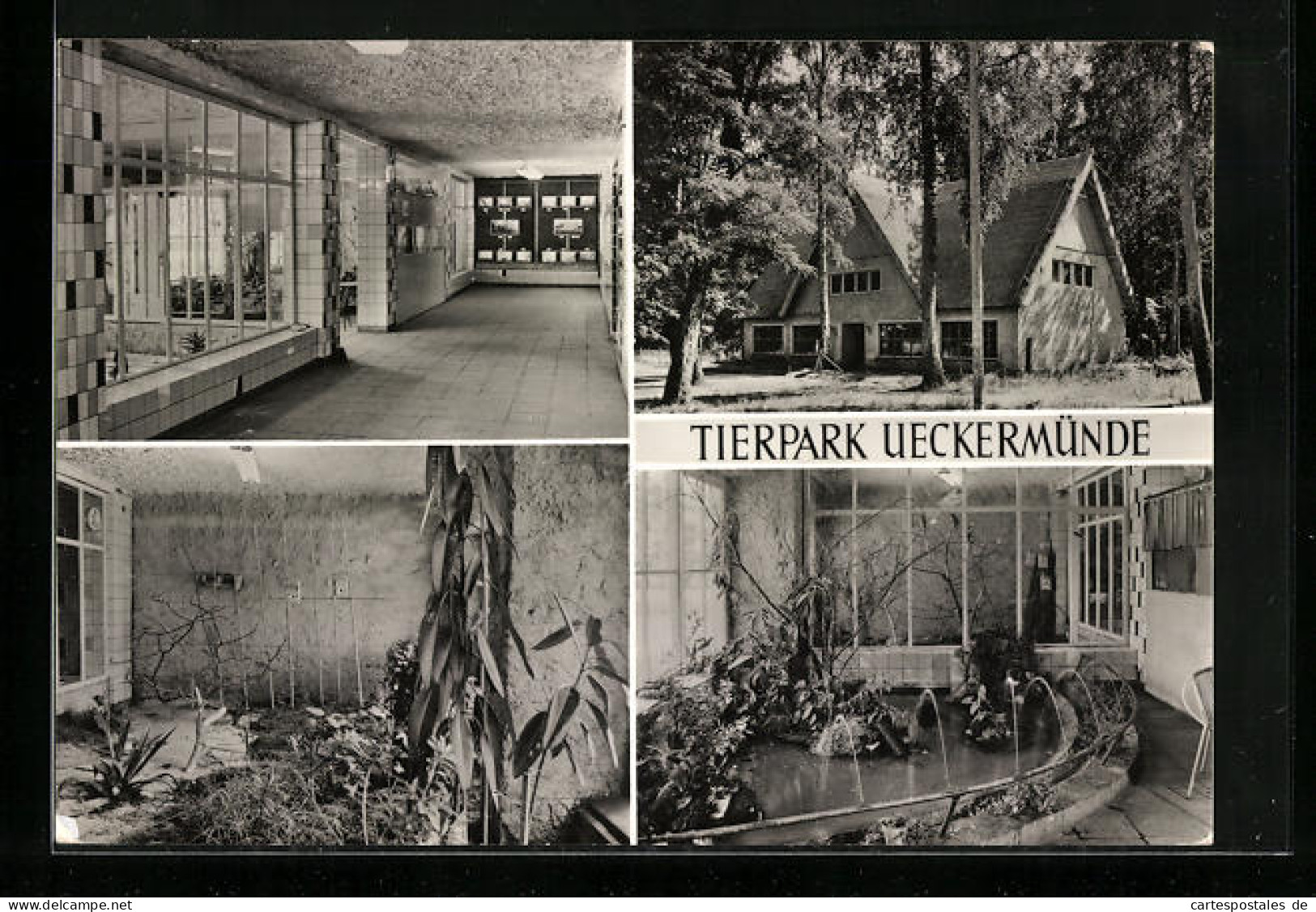 AK Ueckermünde, Tierpark Ueckermünde, Vivarium