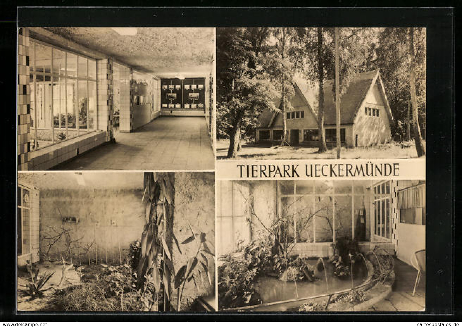 AK Ueckermünde, Tierpark Ueckermünde, Vivarium