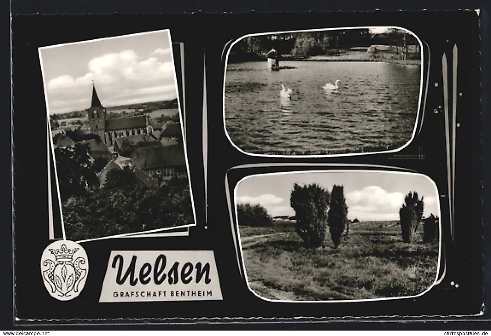 AK Uelsen /Grafschaft Bentheim, Kirche im Ortsbild, Schwanenteich, Heidelandschaft