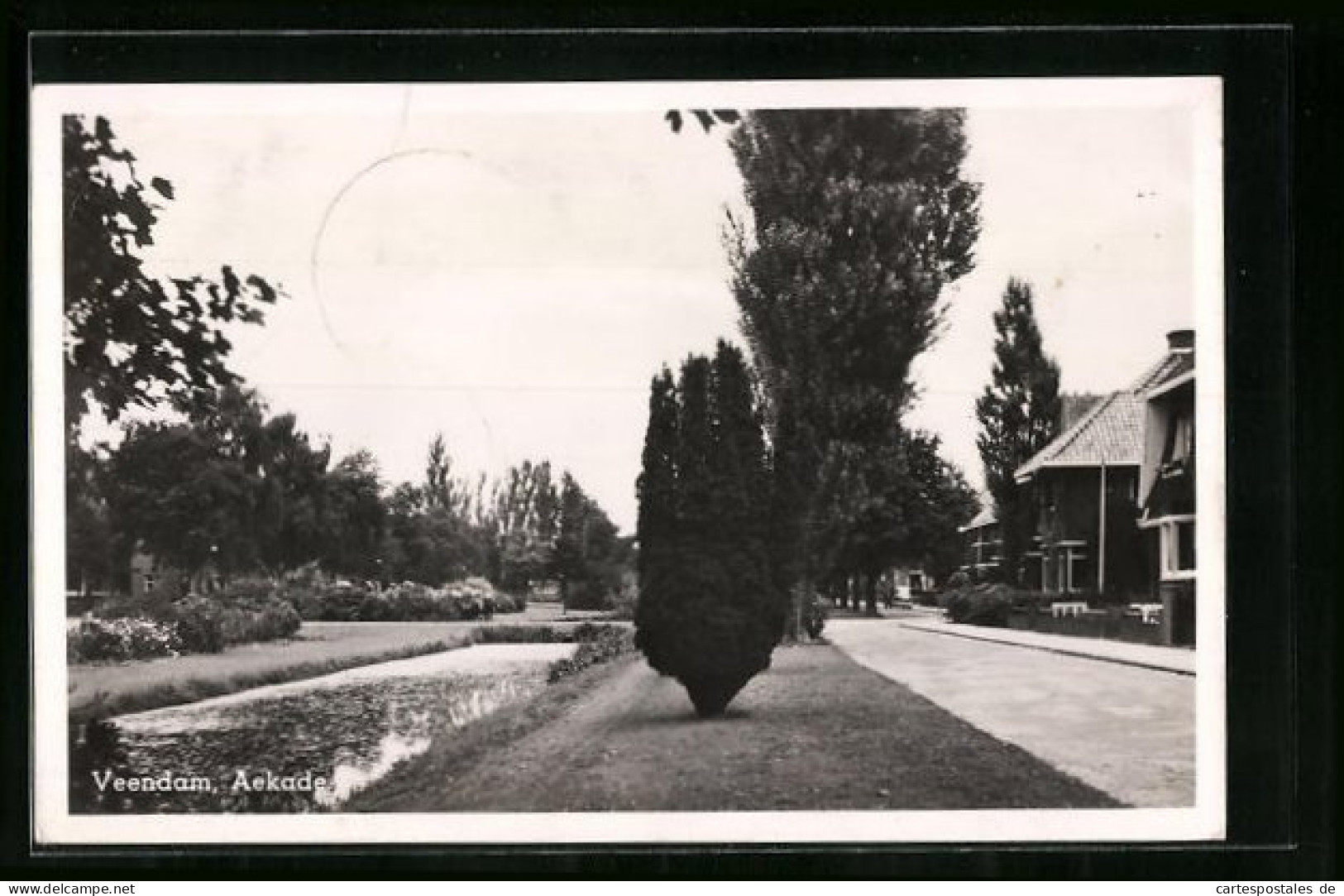 AK Veendam, Aekade