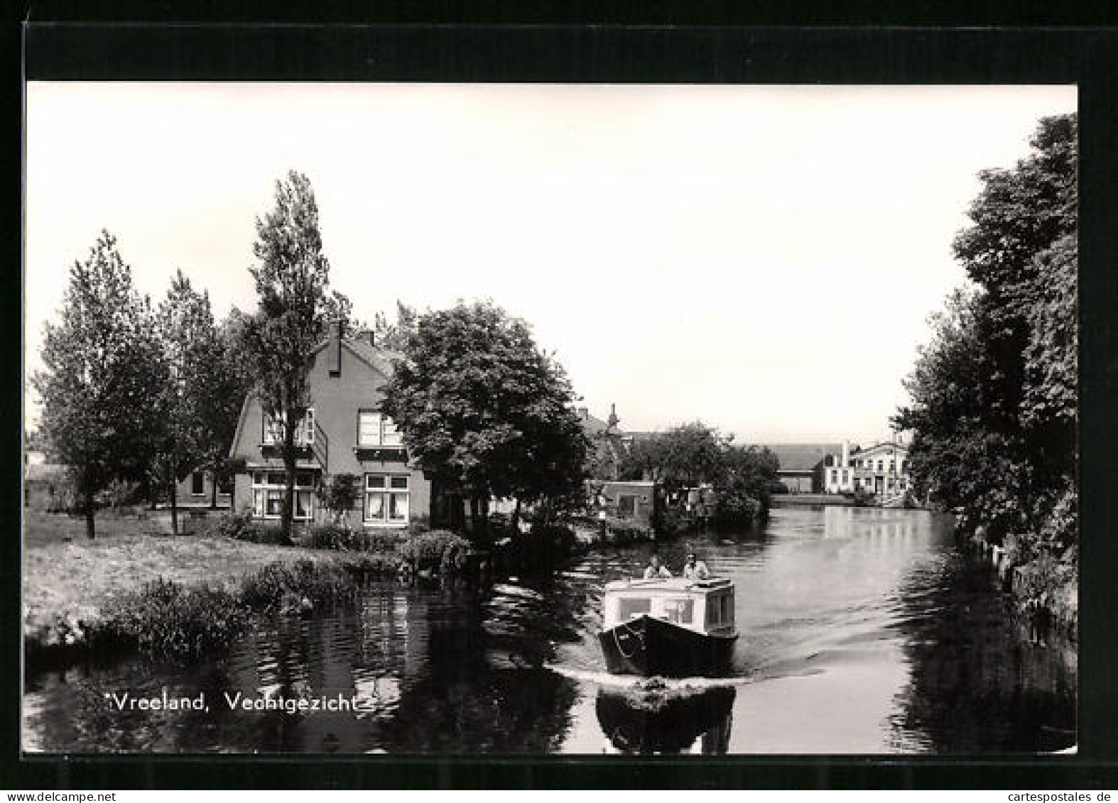 AK Vreeland, Vechtgezicht