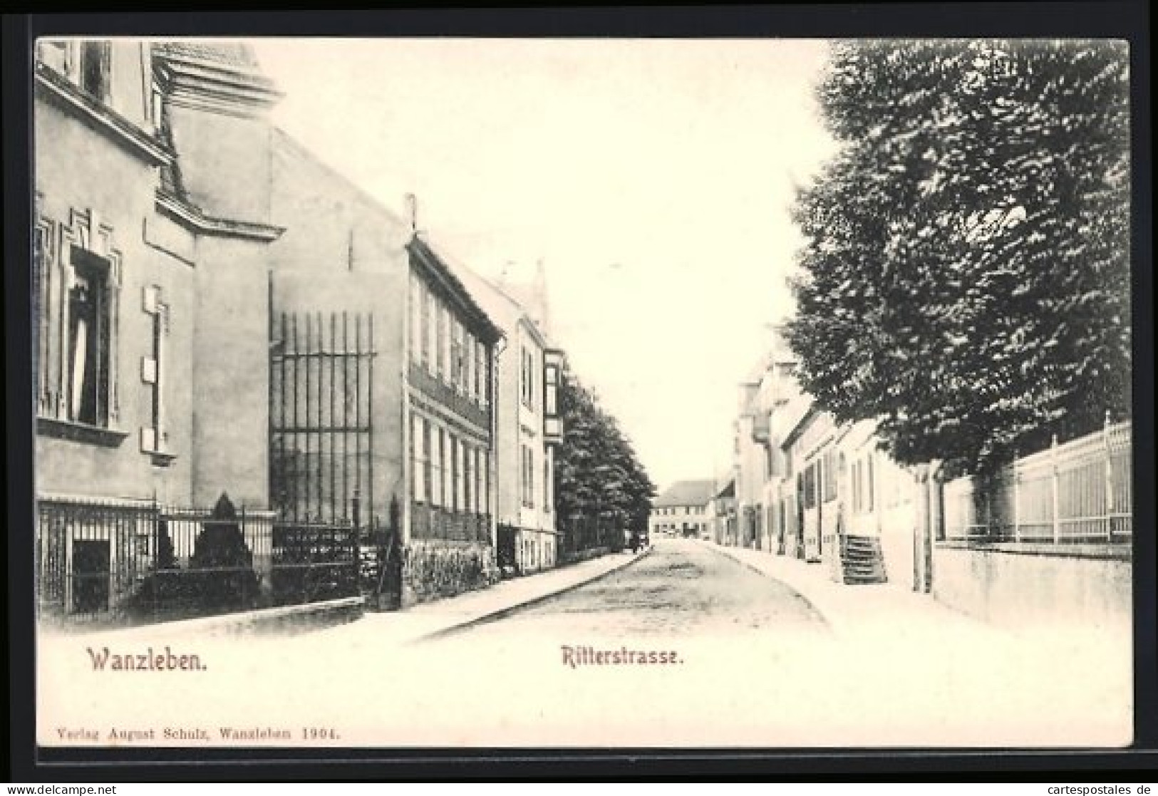 AK Wanzleben, Ritterstrasse mit Bäumen