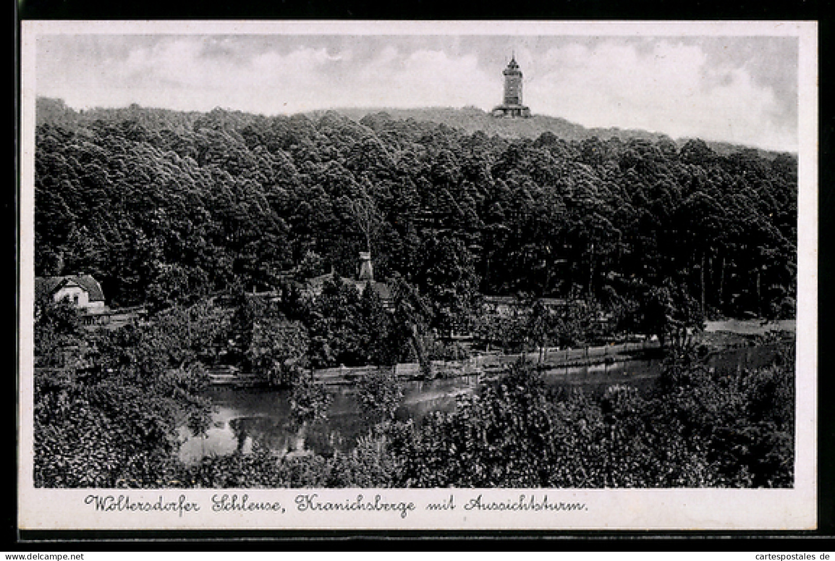 AK Woltersdorf /Erkner, Woltersdorf Schleuse, Kranichberge mit Aussichtsturm
