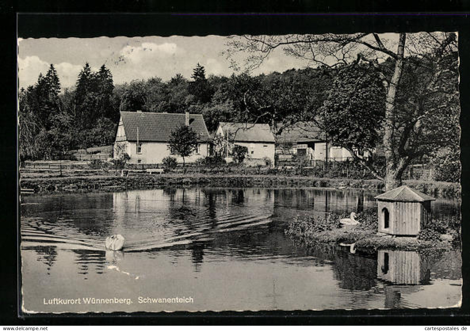 AK Wünnenberg, Schwanenteich