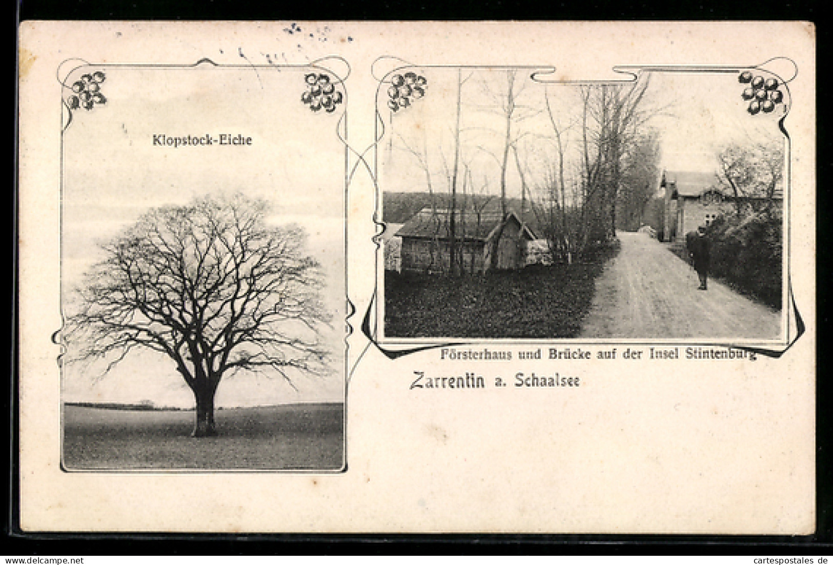AK Zarrentin a. Schaalsee, Klopstock-Eiche und Försterhaus auf der Insel Stintenburg