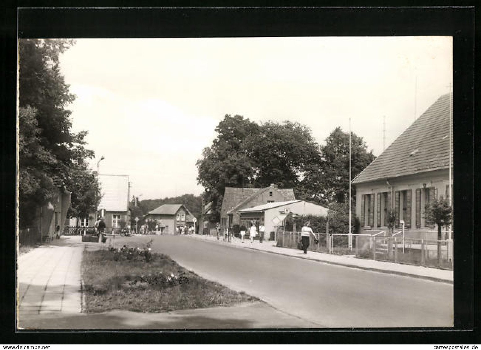 AK Zechlinerhütte / Neuruppin, Rheinsberger Strasse