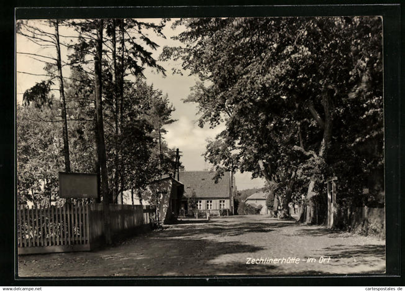 AK Zechlinerhütte, Strasse mit grossen Bäumen