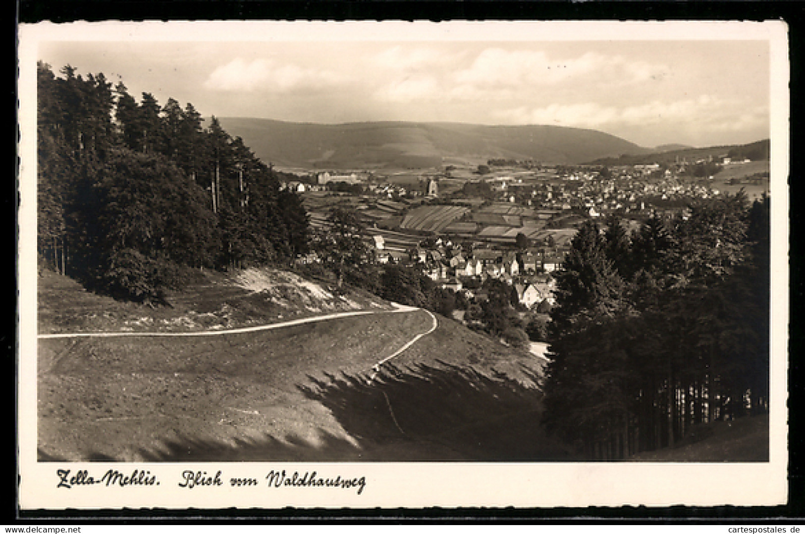 AK Zella-Mehlis, Blick vom Waldhausweg