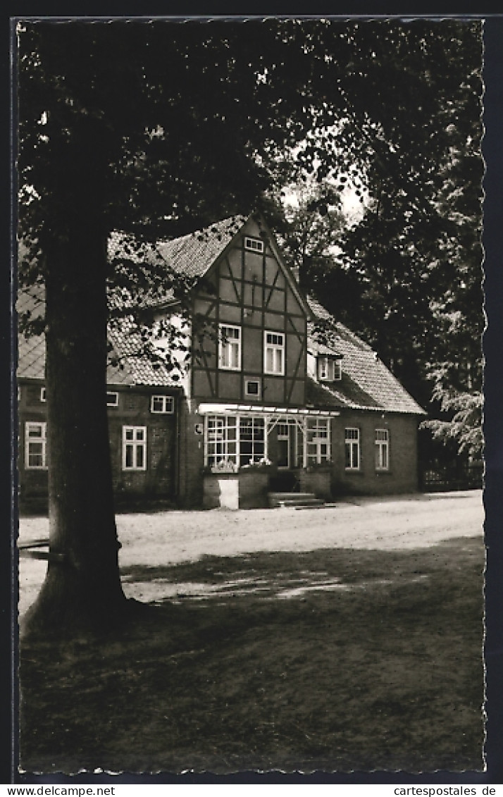 AK Zernien /Lüchow, Pension Hof Spranz H. Jauch