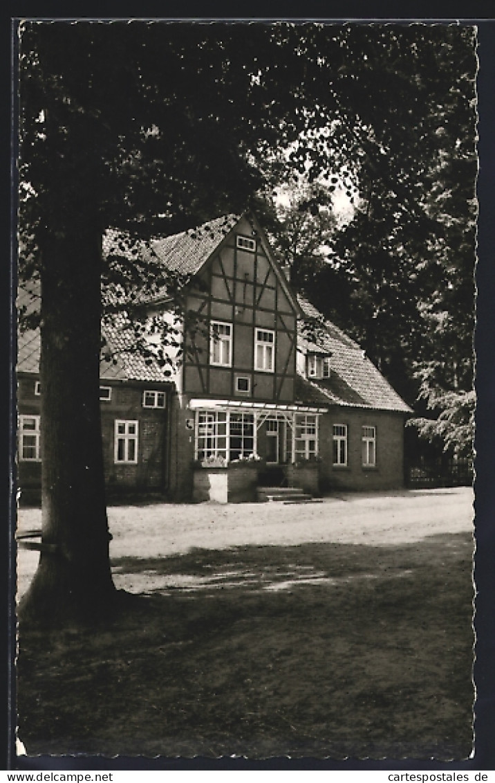 AK Zernien /Lüchow, Pension Hof Spranz H. Jauch, Frontansicht