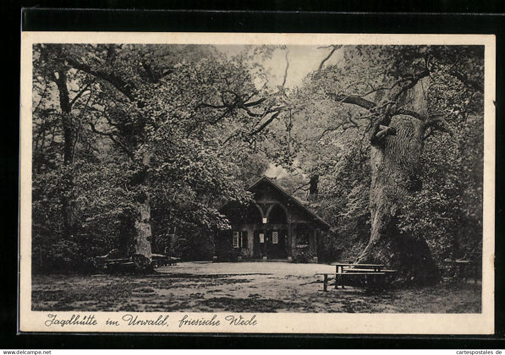 AK Zetel i. O., Gasthaus Kurhaus im Urwald
