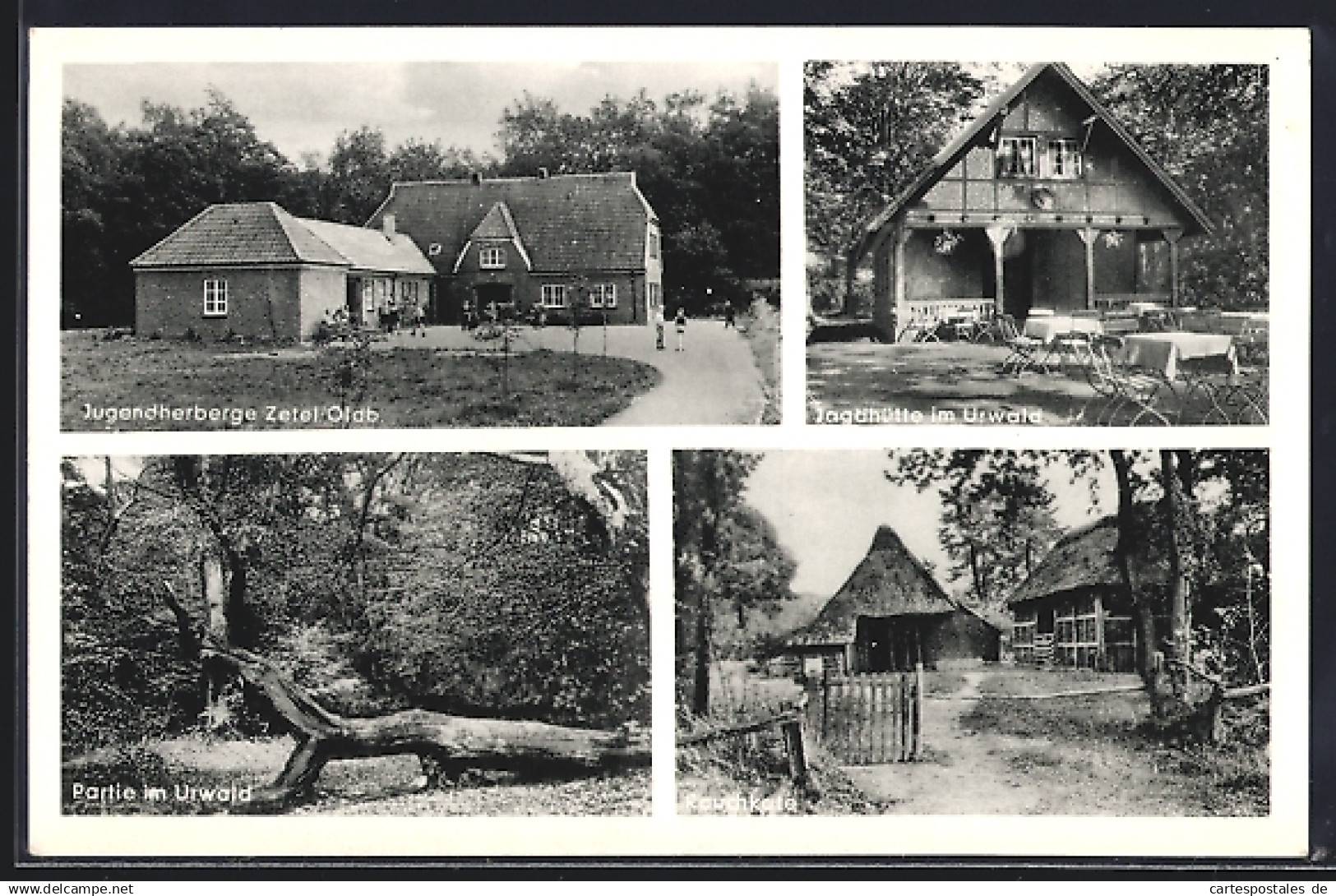 AK Zetel, Jugendherberge Zetel, Jagdhütte im Urwald, Rauchkate, Partie im Urwald