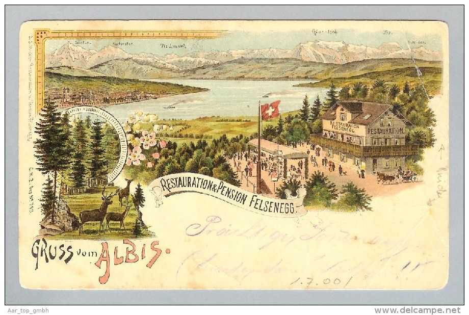 AK ZH Stallikon Felsenegg 1900-08-01 Litho C.Künzli #713