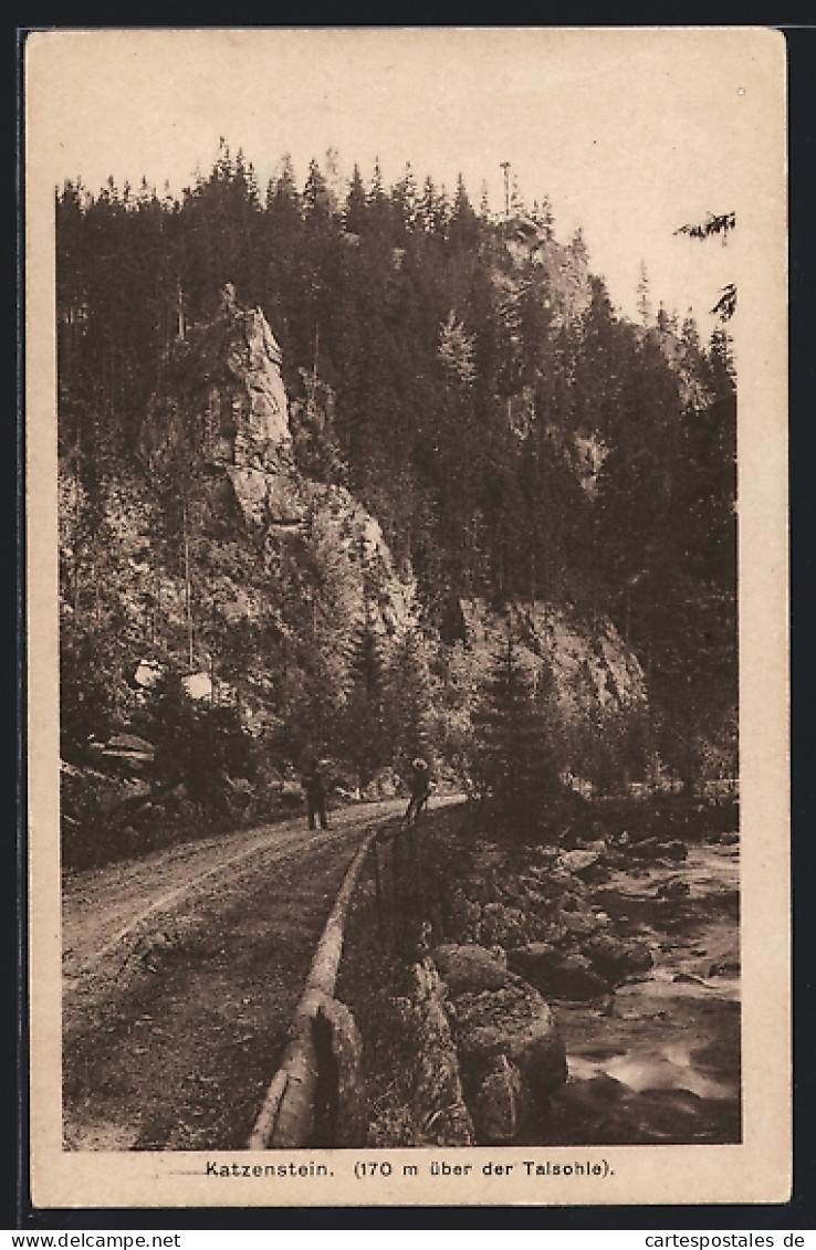 AK Zöblitz i. Erzgeb., Wegpartie am Katzenstein