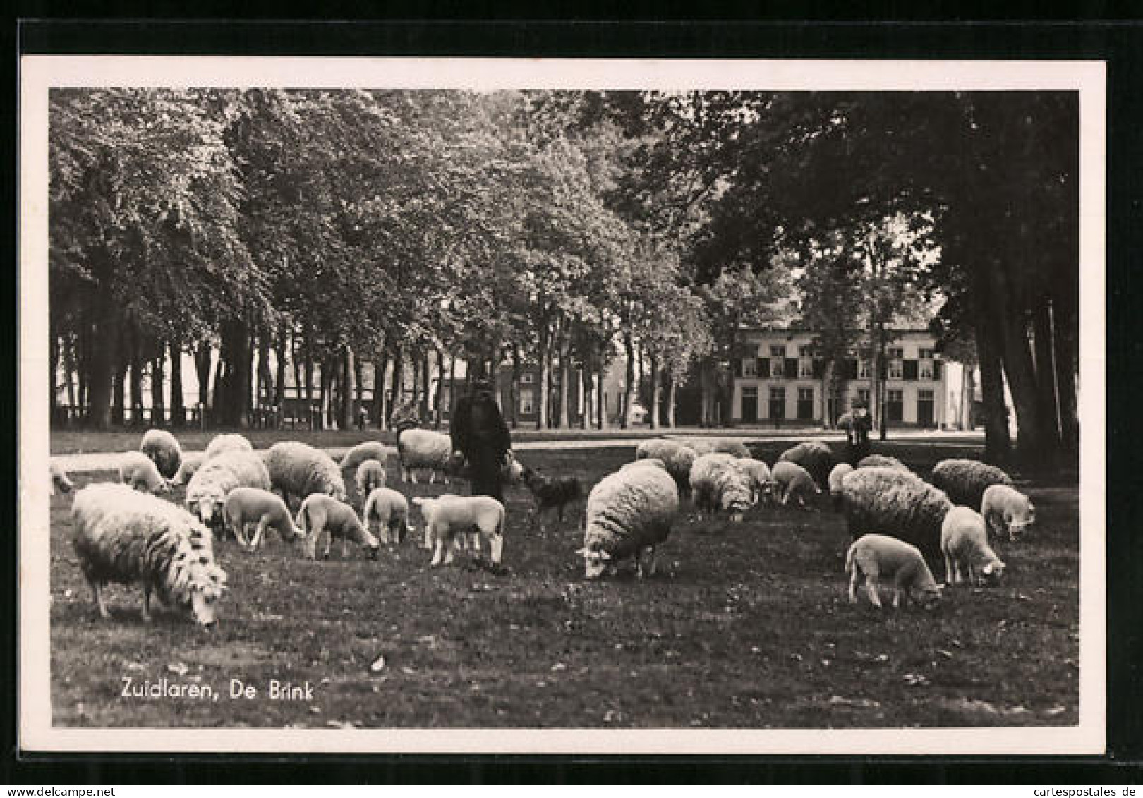 AK Zuidlaren, De Brink