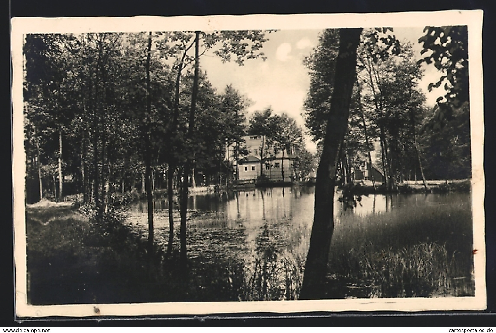 AK Zwönitz i. Erzgeb., Hammermühle