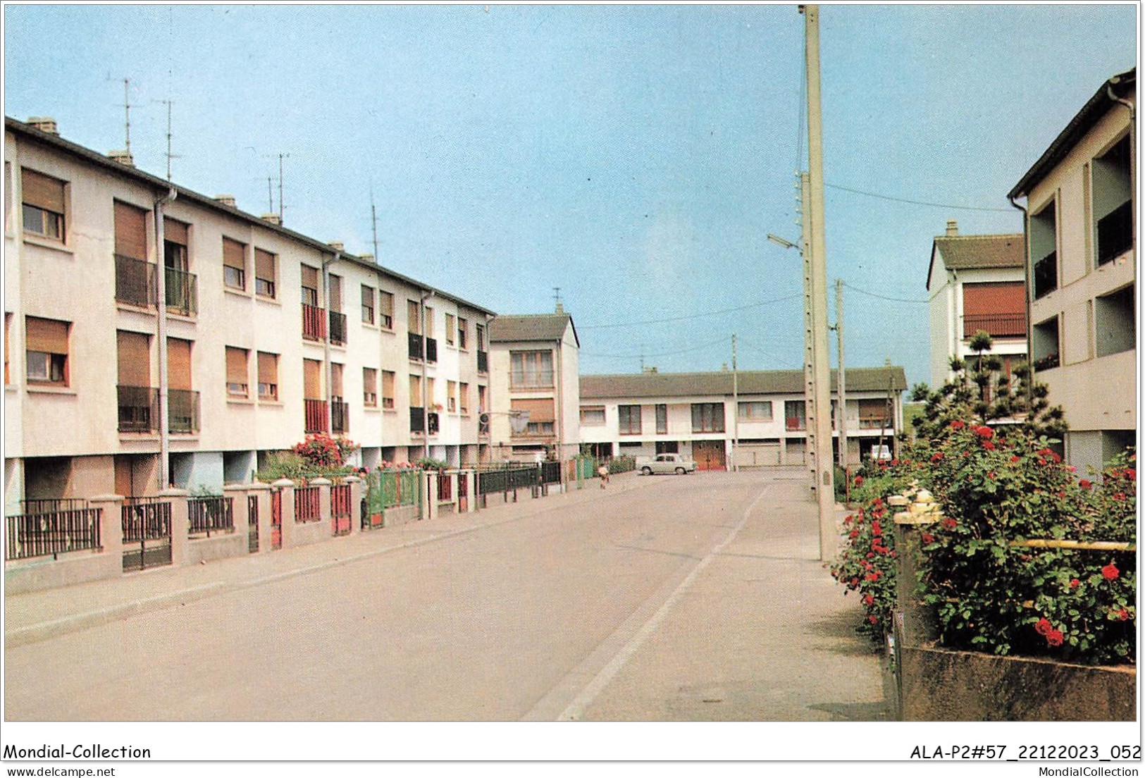 ALAP2-57-0128 - TALANGE - La grande rayée