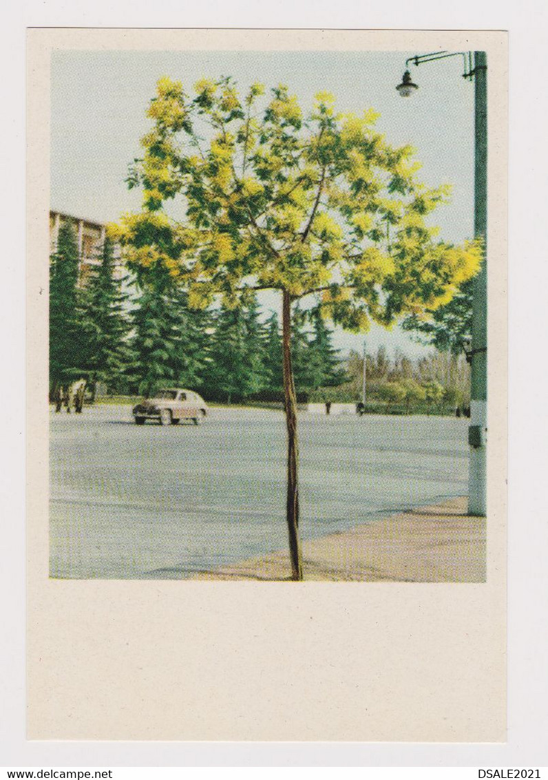 Albania Albanien Albanie Tirana Street View with Old Car Vintage 1950s Photo Postcard RPPc CPA (41106)