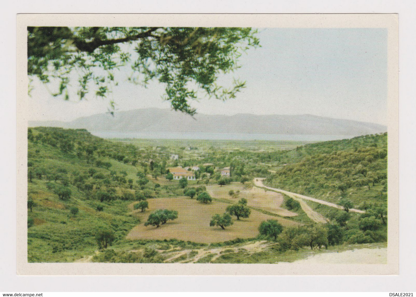 Albania Albanien Albanie Vlorë Vlore View Vintage 1950s Photo Postcard RPPc CPA (41108)