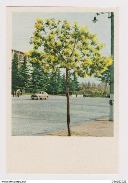Albania Albanien Albanie Tirana Street View with Old Car Vintage 1950s Photo Postcard RPPc CPA (41106)