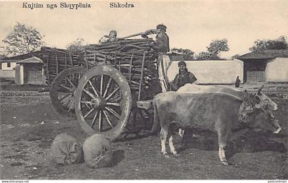 Albania - SHKODËR - Transport of wood - Publ. Marubbi