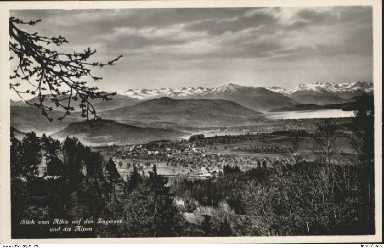 Albis Zugersee