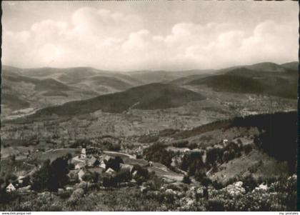 Muenstertal Muenstertal