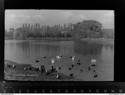 30022576 - Ahlen , Westf