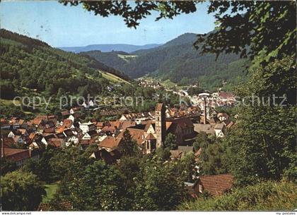 Alpirsbach Gesamtansicht
