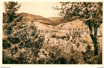 Alpirsbach Panorama