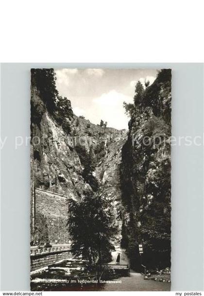 Hirschsprung Hollental