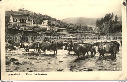 Altenbrak Harz Kuhtraenke