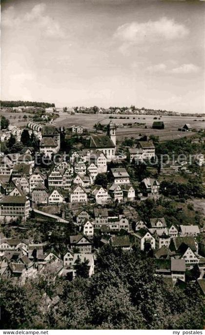 Altensteig Schwarzwald Panorama
