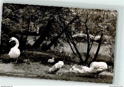 39246092 - Aschaffenburg