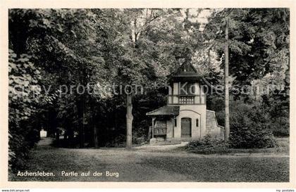 Aschersleben Burg Panorama