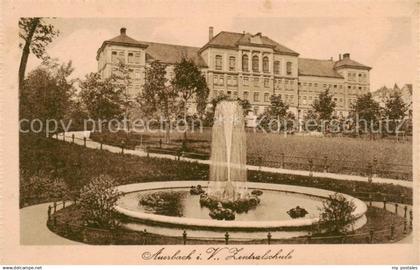 Auerbach  Vogtland Zentralschule Brunnen Fontaene