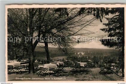 Auerbach Vogtland Zoebischhaus Sommerfrische