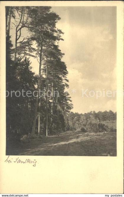 Aurich Ostfriesland Wald
