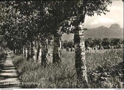 Bad Aibling Birkenallee