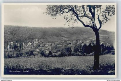 50515490 - Bad Bergzabern