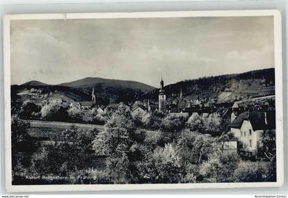 51366408 - Bad Bergzabern