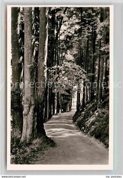 Bergzabern Bad Philosophenweg