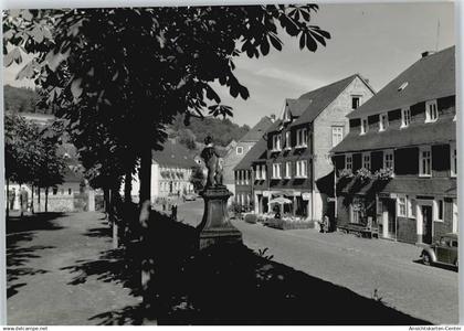 50357334 - Bad Berleburg