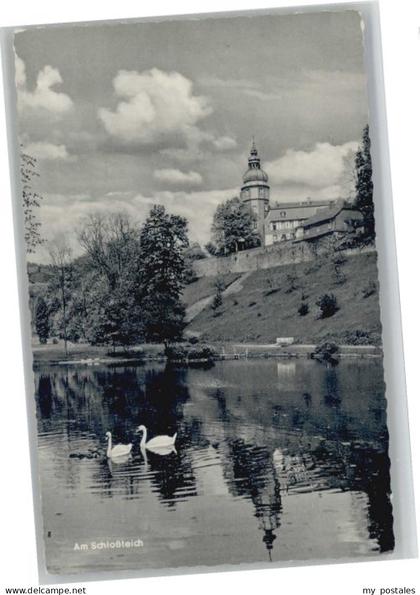 Bad Berleburg Schlossteich