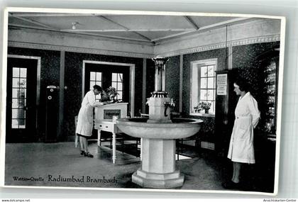 38196679 - Bad Brambach