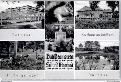 51458622 - Bad Bramstedt