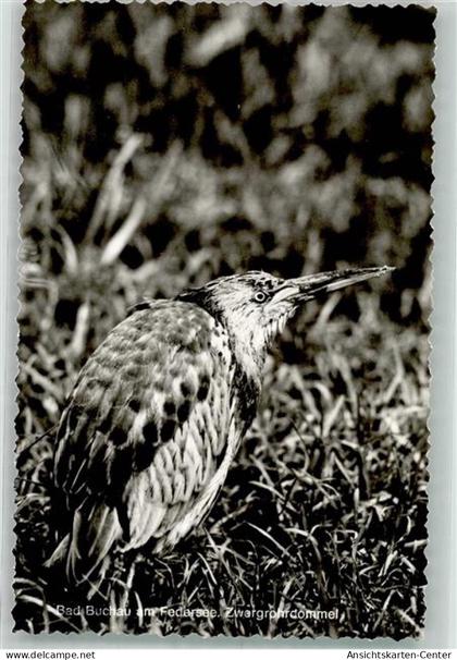 39833887 - Bad Buchau